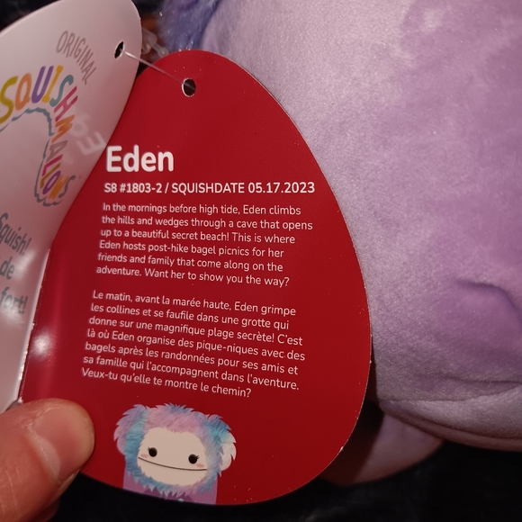 NWT Eden the Valentines Day Bigfoot Squishmallows Bundle 2024 ❤️ - Picture 4 of 4